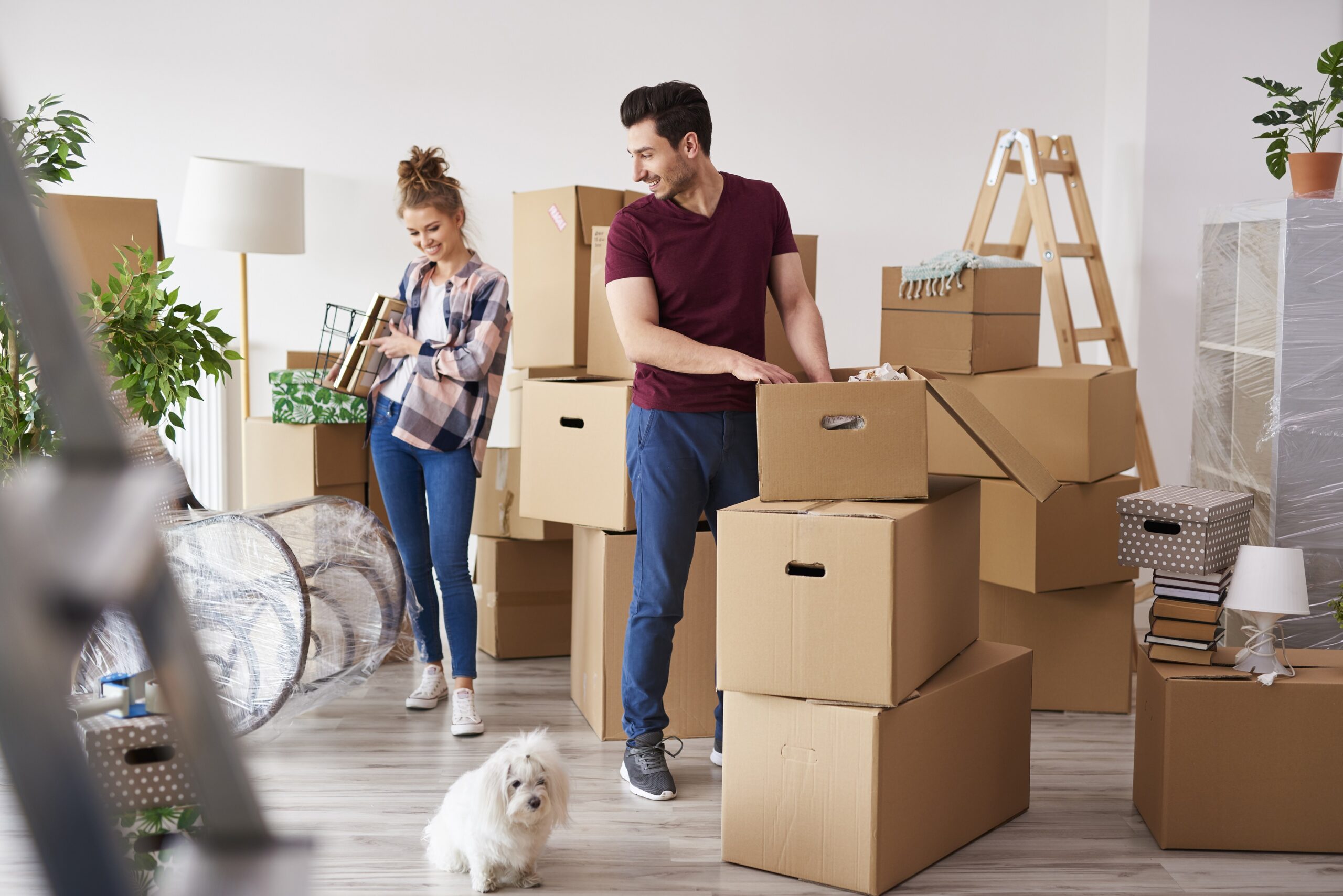 Young couple packing their stuff into boxes