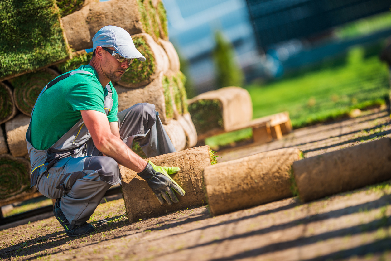 turf Grass Installer. Replacing Old Lawn with Fresh Natural Grass.